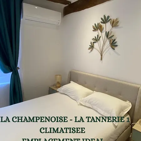 Appartement La Champenoise Clim La Tannerie 1 Troyes