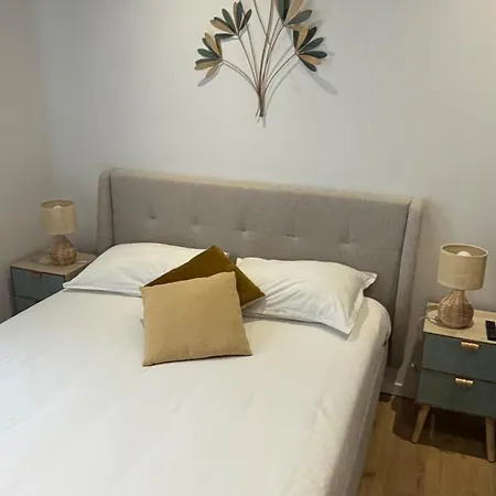 Appartement La Champenoise Clim La Tannerie 1 Troyes