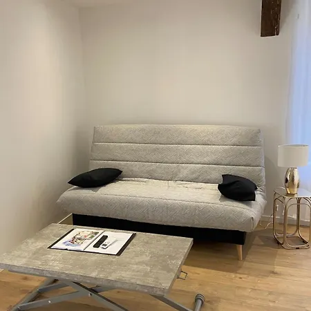 La Champenoise Clim La Tannerie 1 Appartement Troyes